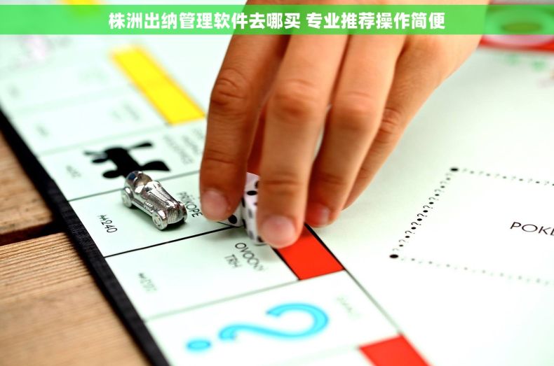 株洲出纳管理软件去哪买 专业推荐操作简便