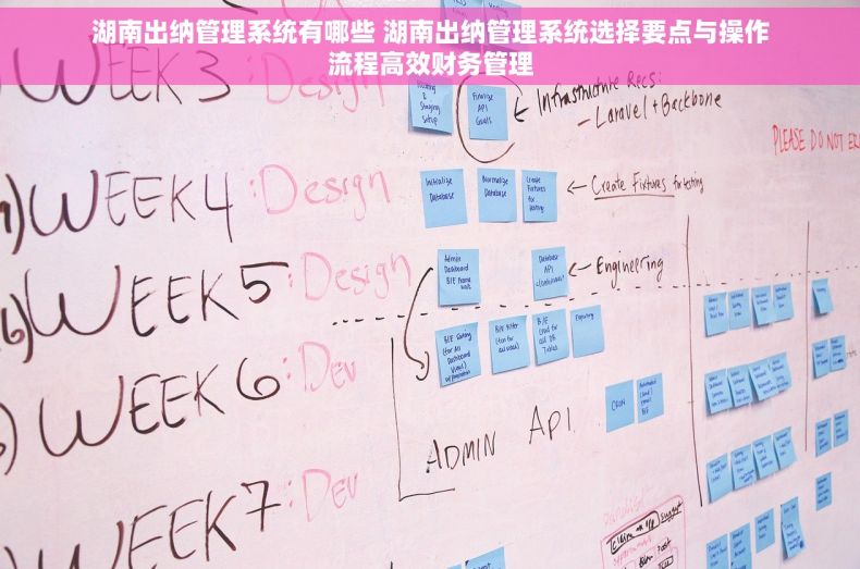 湖南出纳管理系统有哪些 湖南出纳管理系统选择要点与操作流程高效财务管理