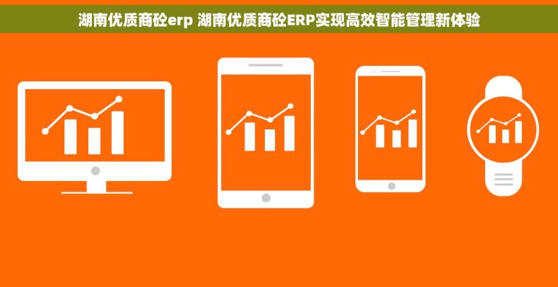 湖南优质商砼erp 湖南优质商砼ERP实现高效智能管理新体验