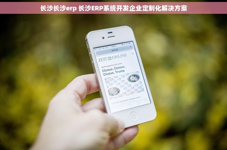 长沙长沙erp 长沙ERP系统开发企业定制化解决方案