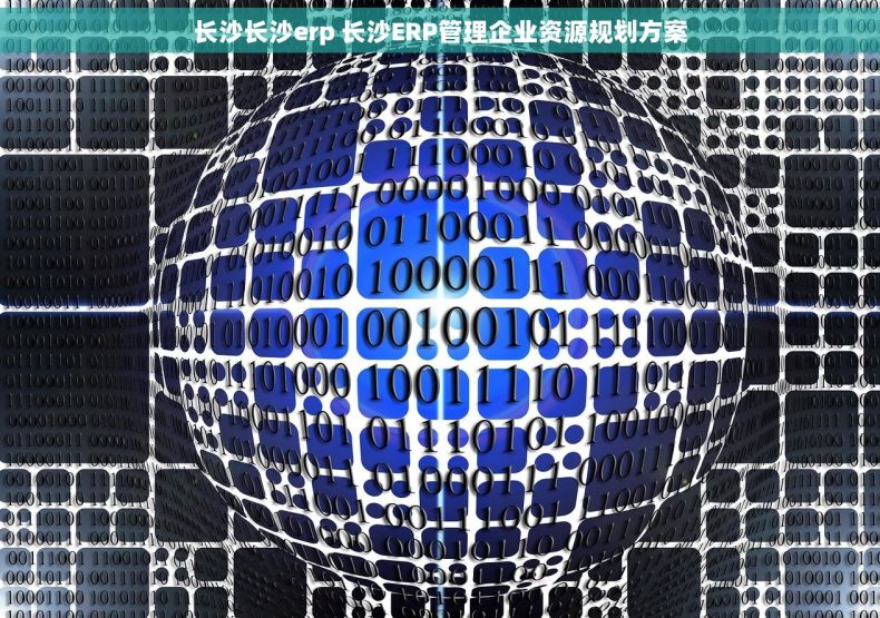 长沙长沙erp 长沙ERP管理企业资源规划方案