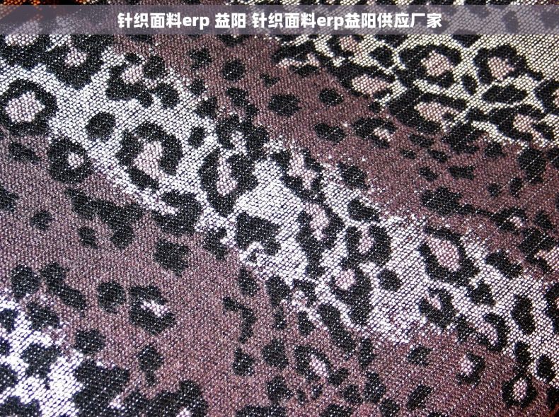 针织面料erp 益阳 针织面料erp益阳供应厂家
