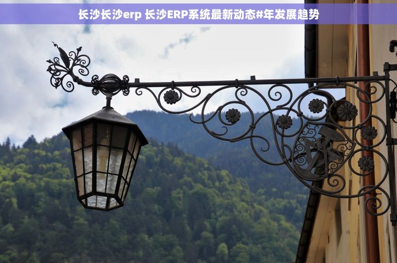 长沙长沙erp 长沙ERP系统最新动态#年发展趋势