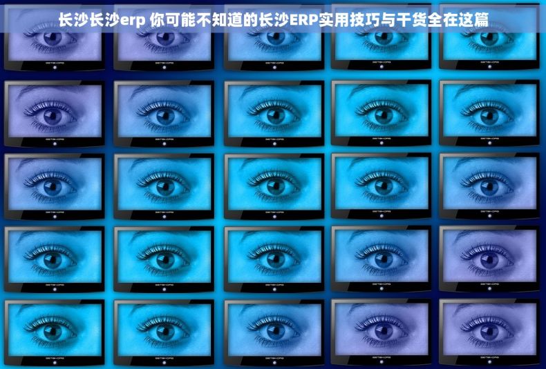 长沙长沙erp 你可能不知道的长沙ERP实用技巧与干货全在这篇
