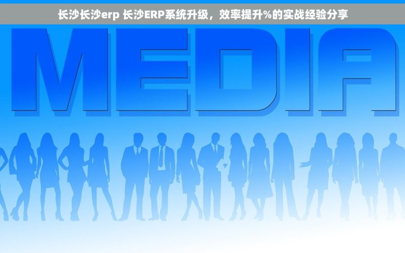 长沙长沙erp 长沙ERP系统升级，效率提升%的实战经验分享