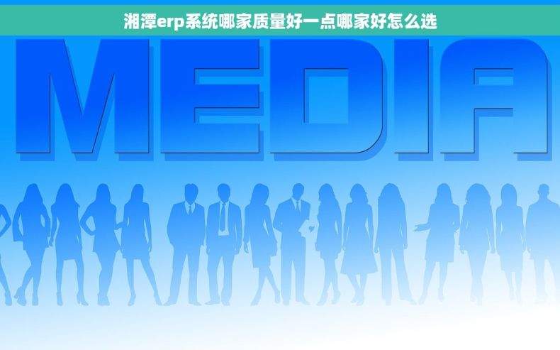 湘潭erp系统哪家质量好一点哪家好怎么选
