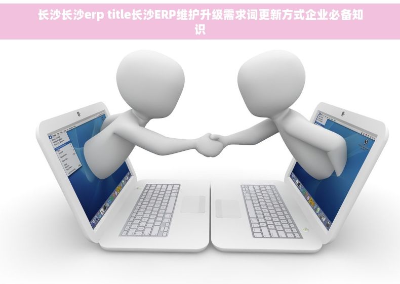 长沙长沙erp title长沙ERP维护升级需求词更新方式企业必备知识