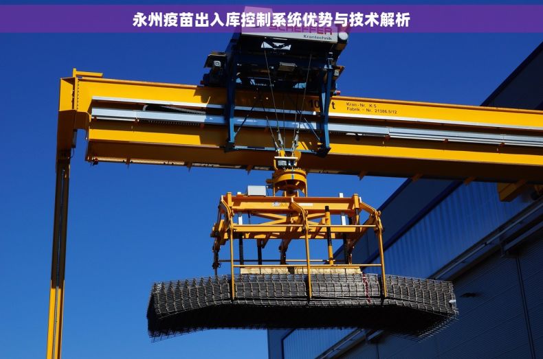 永州疫苗出入库控制系统优势与技术解析