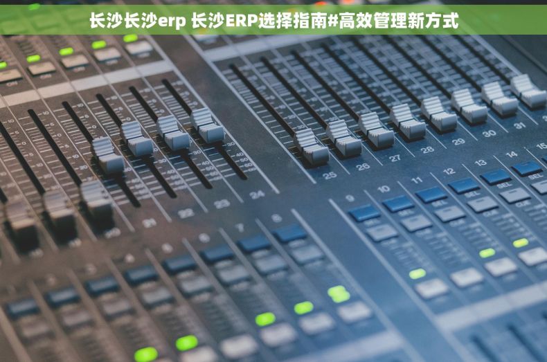长沙长沙erp 长沙ERP选择指南#高效管理新方式