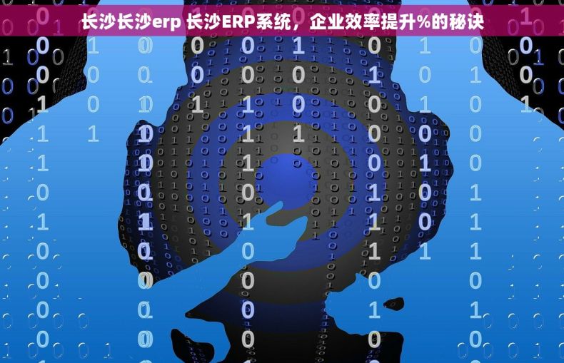 长沙长沙erp 长沙ERP系统，企业效率提升%的秘诀