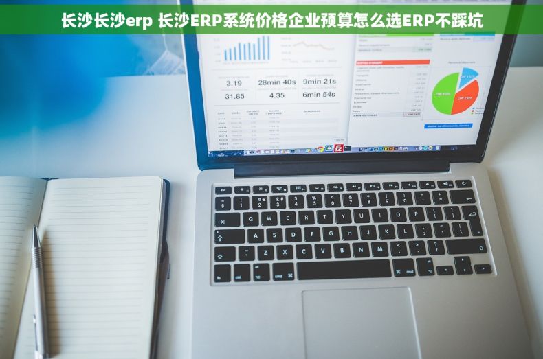长沙长沙erp 长沙ERP系统价格企业预算怎么选ERP不踩坑
