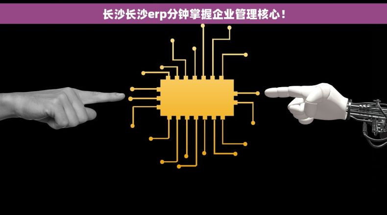 长沙长沙erp分钟掌握企业管理核心！