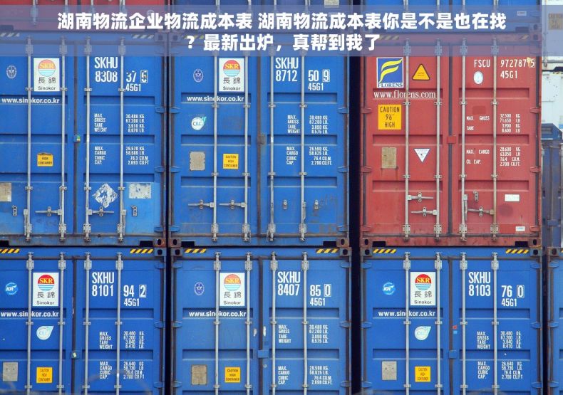 湖南物流企业物流成本表 湖南物流成本表你是不是也在找？最新出炉，真帮到我了