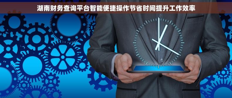 湖南财务查询平台智能便捷操作节省时间提升工作效率