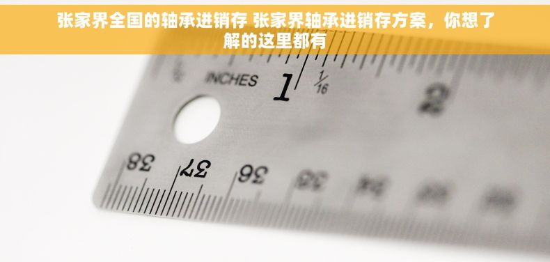 张家界全国的轴承进销存 张家界轴承进销存方案，你想了解的这里都有