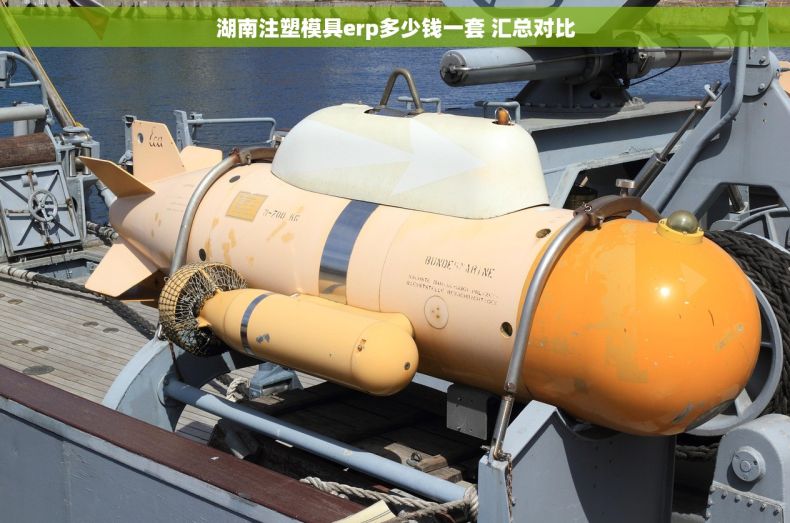 湖南注塑模具erp多少钱一套 汇总对比
