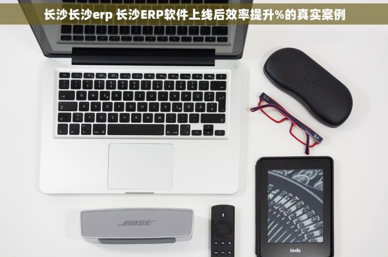 长沙长沙erp 长沙ERP软件上线后效率提升%的真实案例