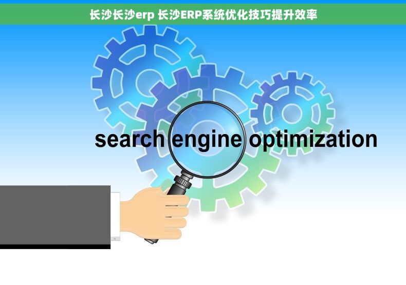 长沙长沙erp 长沙ERP系统优化技巧提升效率