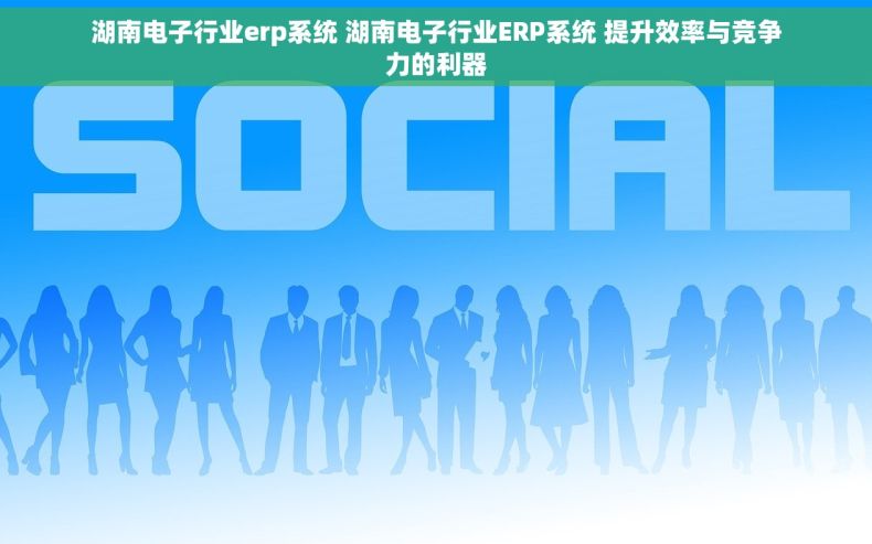 湖南电子行业erp系统 湖南电子行业ERP系统 提升效率与竞争力的利器
