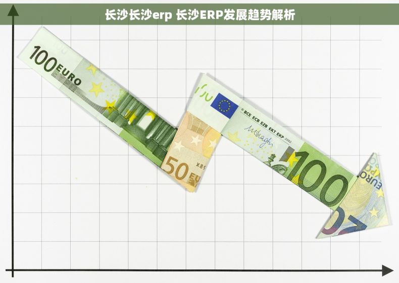 长沙长沙erp 长沙ERP发展趋势解析