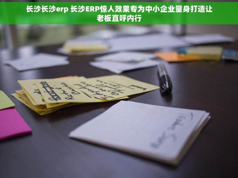 长沙长沙erp 长沙ERP惊人效果专为中小企业量身打造让老板直呼内行