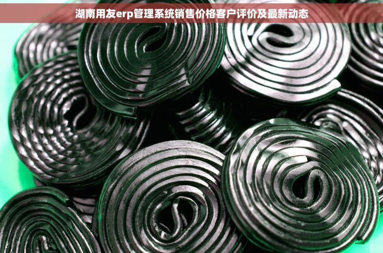湖南用友erp管理系统销售价格客户评价及最新动态