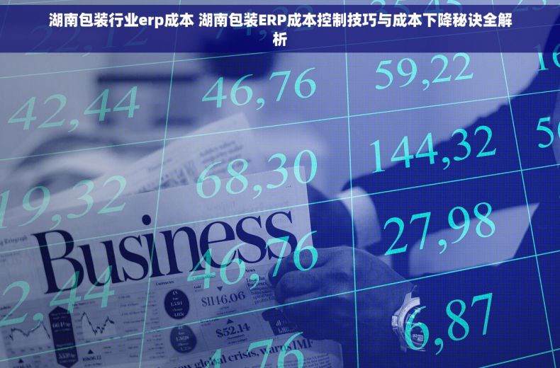 湖南包装行业erp成本 湖南包装ERP成本控制技巧与成本下降秘诀全解析