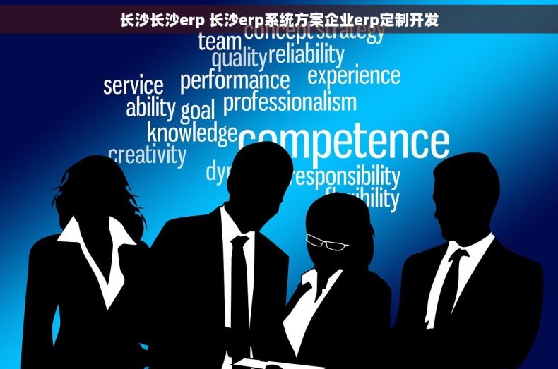 长沙长沙erp 长沙erp系统方案企业erp定制开发