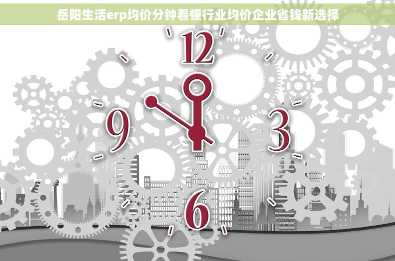 岳阳生活erp均价分钟看懂行业均价企业省钱新选择