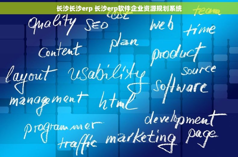 长沙长沙erp 长沙erp软件企业资源规划系统