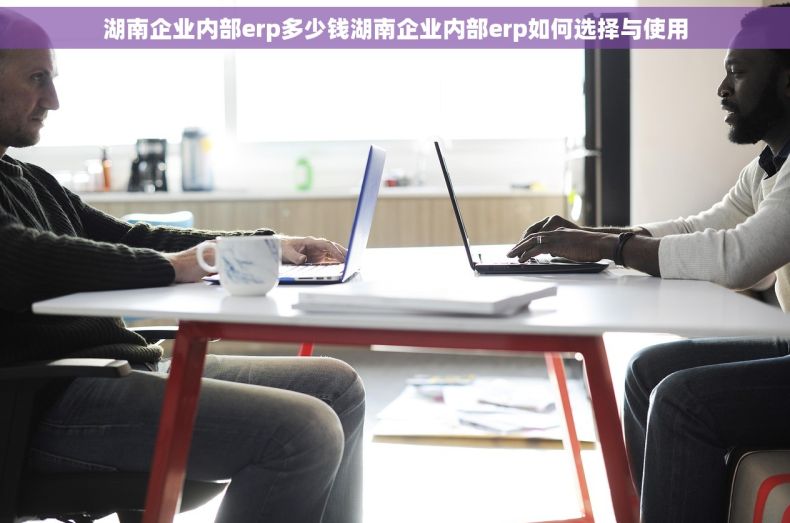 湖南企业内部erp多少钱湖南企业内部erp如何选择与使用