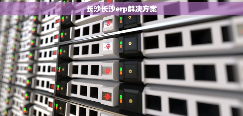 长沙长沙erp解决方案