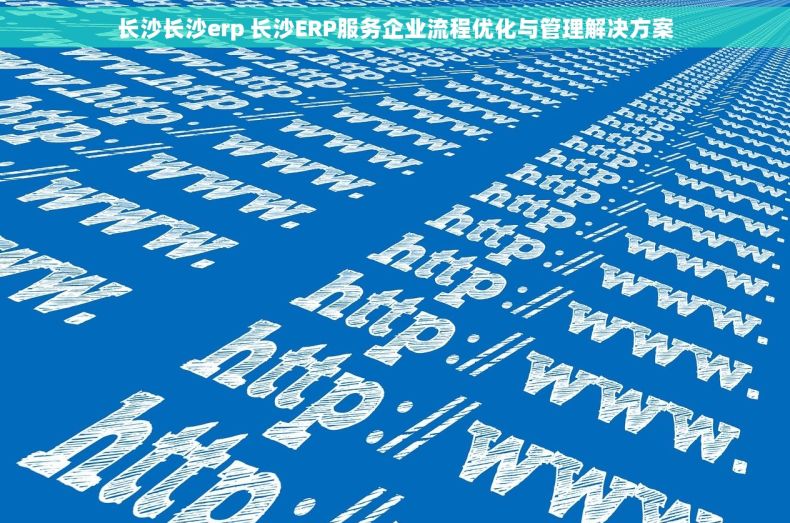长沙长沙erp 长沙ERP服务企业流程优化与管理解决方案