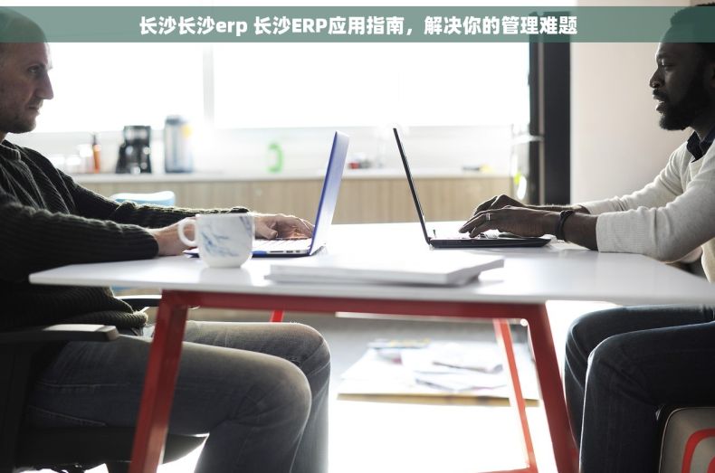 长沙长沙erp 长沙ERP应用指南，解决你的管理难题