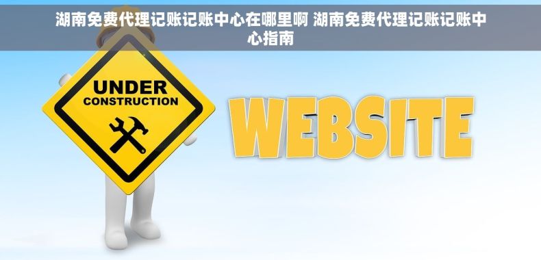 湖南免费代理记账记账中心在哪里啊 湖南免费代理记账记账中心指南