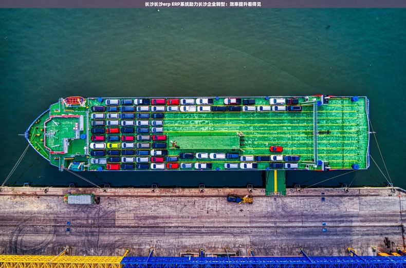 长沙长沙erp ERP系统助力长沙企业转型：效率提升看得见