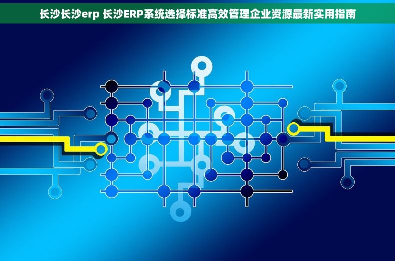 长沙长沙erp 长沙ERP系统选择标准高效管理企业资源最新实用指南