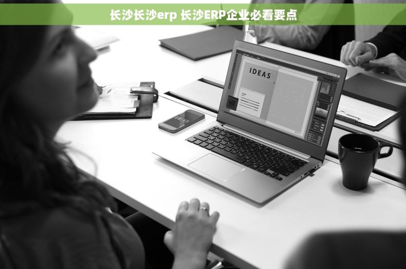 长沙长沙erp 长沙ERP企业必看要点