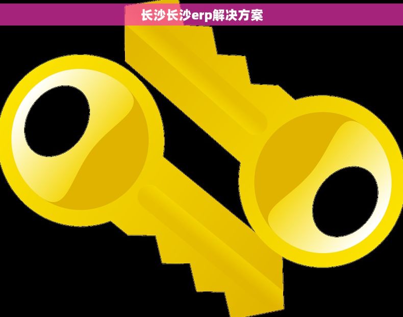 长沙长沙erp解决方案