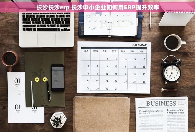 长沙长沙erp 长沙中小企业如何用ERP提升效率