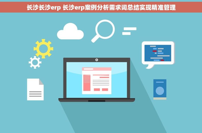 长沙长沙erp 长沙erp案例分析需求词总结实现精准管理