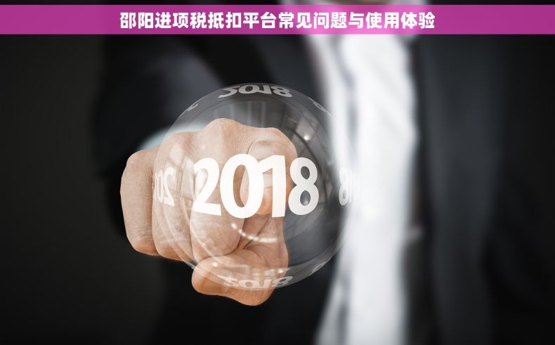 邵阳进项税抵扣平台常见问题与使用体验