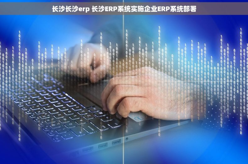 长沙长沙erp 长沙ERP系统实施企业ERP系统部署