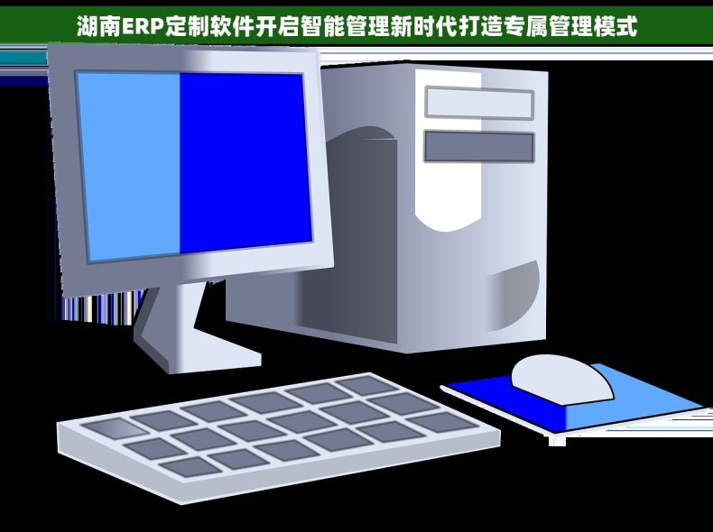 湖南ERP定制软件开启智能管理新时代打造专属管理模式