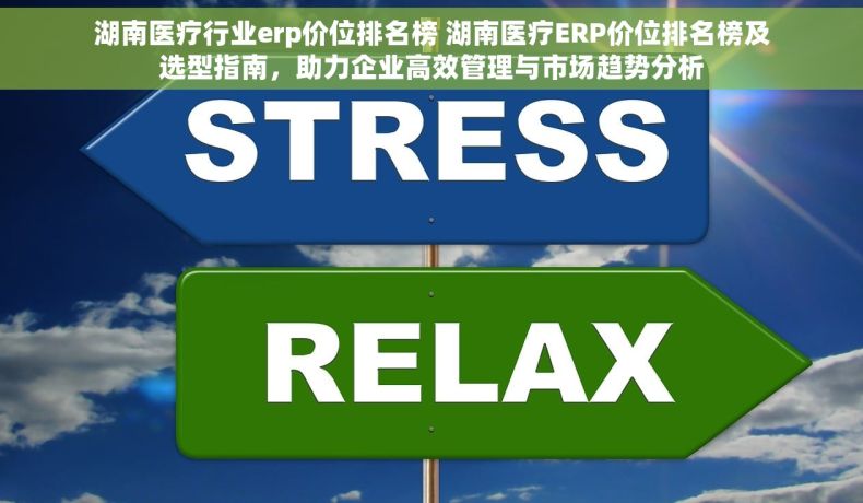 湖南医疗行业erp价位排名榜 湖南医疗ERP价位排名榜及选型指南，助力企业高效管理与市场趋势分析