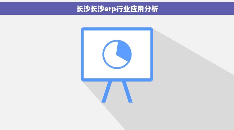 长沙长沙erp行业应用分析