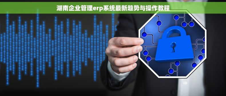 湖南企业管理erp系统最新趋势与操作教程