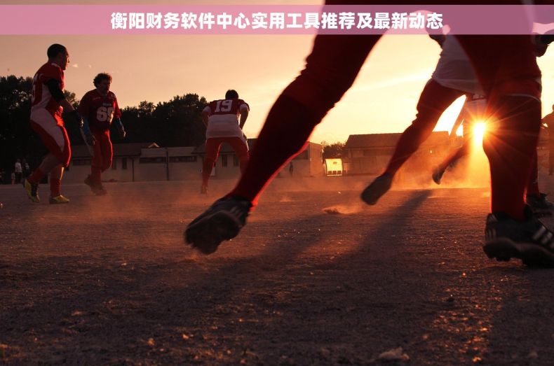 衡阳财务软件中心实用工具推荐及最新动态