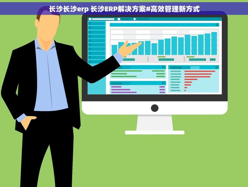 长沙长沙erp 长沙ERP解决方案#高效管理新方式