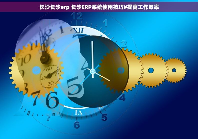 长沙长沙erp 长沙ERP系统使用技巧#提高工作效率
